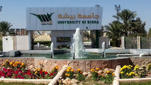 صورة لجامعة بيشة 