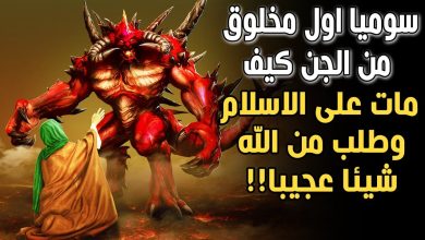 من هو سوميا أبو الجن