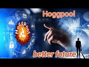 حقيقة منصة Hogg pool | هل منصة هوج بول مضمونة