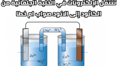 تنتقل الإلكترونات في الخلية الجلفانية من الكاثود إلي الأنود