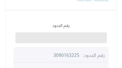 كيف تسأل عن رقم الحدود بدون زيارة مكاتب الجوازات عبر أبشر
