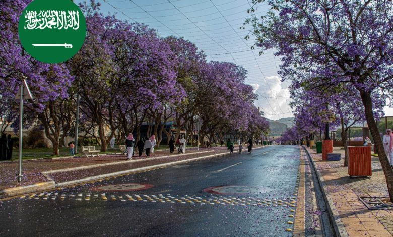 تعبير عن مدينة أبها كامل عربي وانجليزي