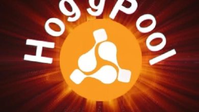 منصة Hoggpool شرح المنصة خطوة بخطوة بالتفصيل