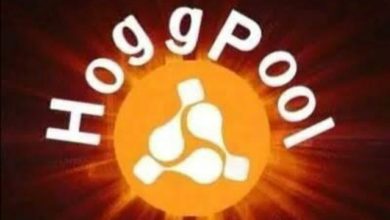 طريقة سحب الأرباح من منصة هوج بول hoog pool