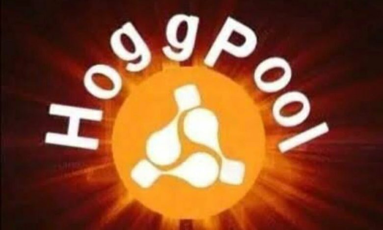 طريقة سحب الأرباح من منصة هوج بول hoog pool