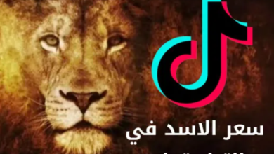 كم سعر الأسد على التيك توك