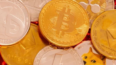 هل عملة mir الرقمية لها مستقبل ام لا