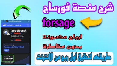 الربح من منصة فورساج forsage،