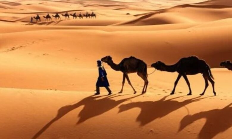 الازهري وش يرجع وأصلها