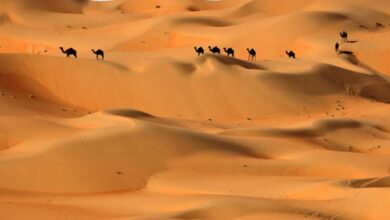 الحنيني وش يرجع وسبب التسمية