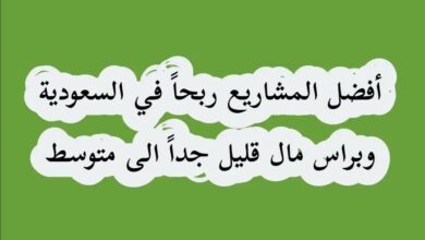 افضل مشروع صغير مربح في السعوديه