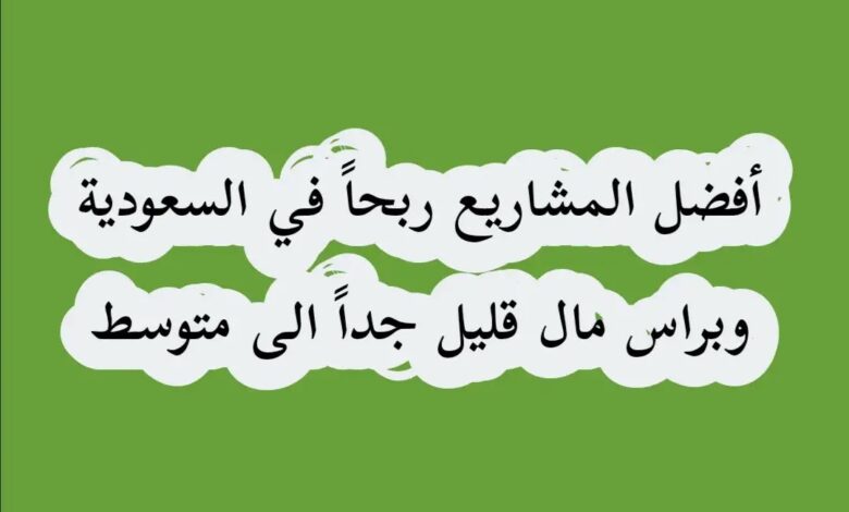 افضل مشروع صغير مربح في السعوديه