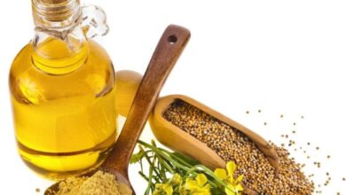 تجربتي مع زيت الخردل والسمسم واهم فوائدها