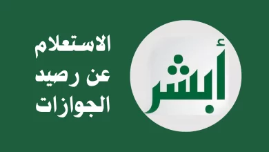استعلام عن رصيد المدفوعات المتبقي في الجوازات برقم الإقامة أو برقم الهوية 1445