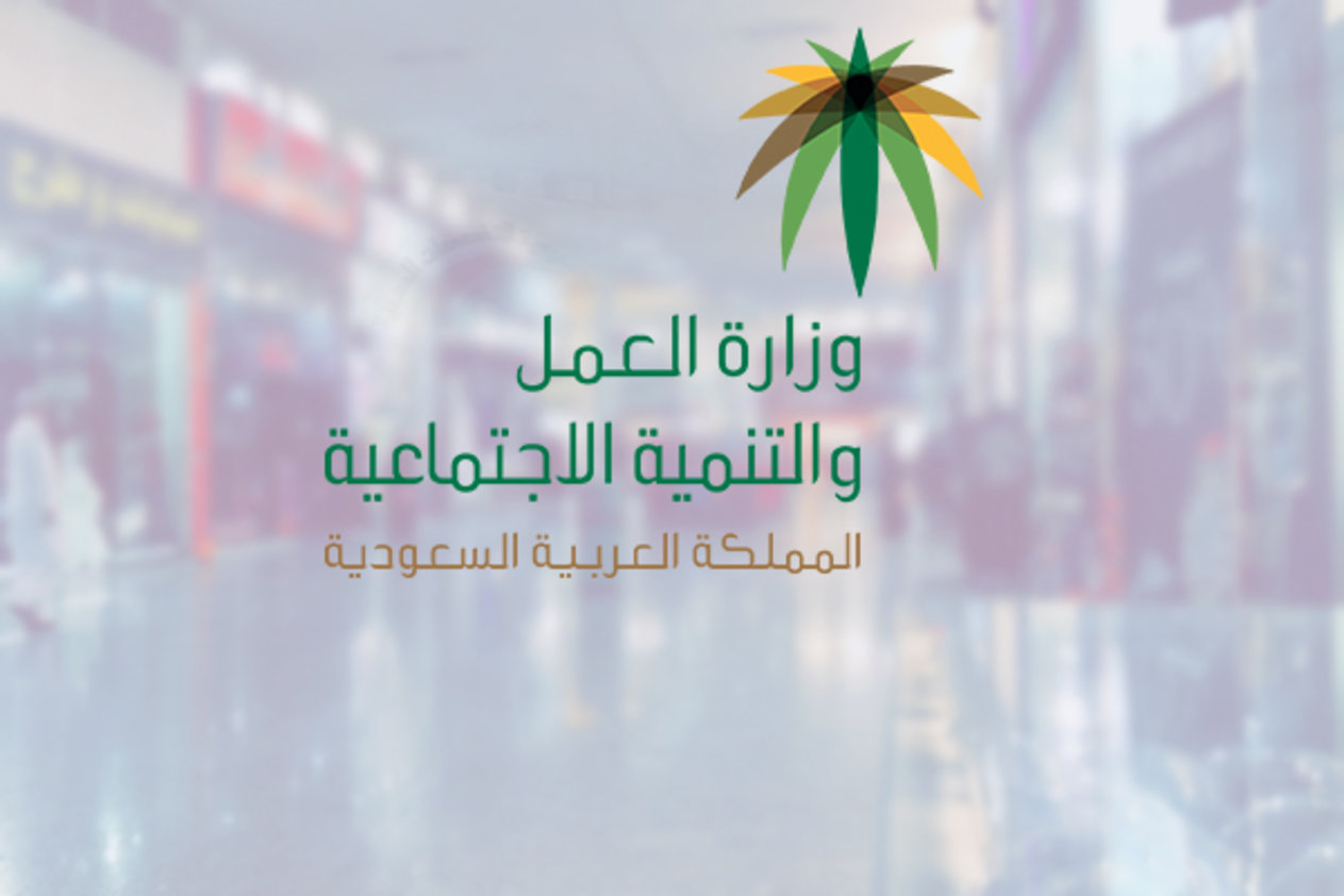الإستعلام عن الرصيد في الضمان الإجتماعي في المملكة العربية السعودية 1445