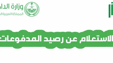 خطوات الاستعلام عن رصيد المدفوعات برقم الحدود أو برقم الهوية 1445 عن طريق منصة أبشر الإلكترونية