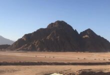 اصل الخريصي وش يرجع .. معلومات عن عائلة الخريصي من اي قبيلة
