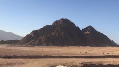 اصل الخريصي وش يرجع .. معلومات عن عائلة الخريصي من اي قبيلة