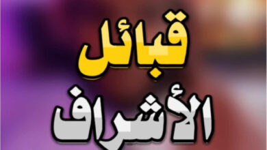 النجمي وش يرجع؟ النجمي من وين